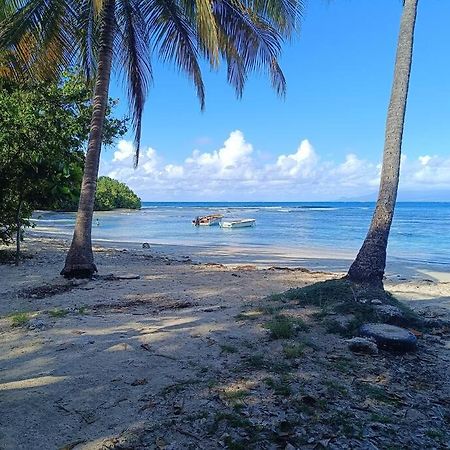 T1 Bis A Proximite De La Plage Le Gosier  Exterior foto